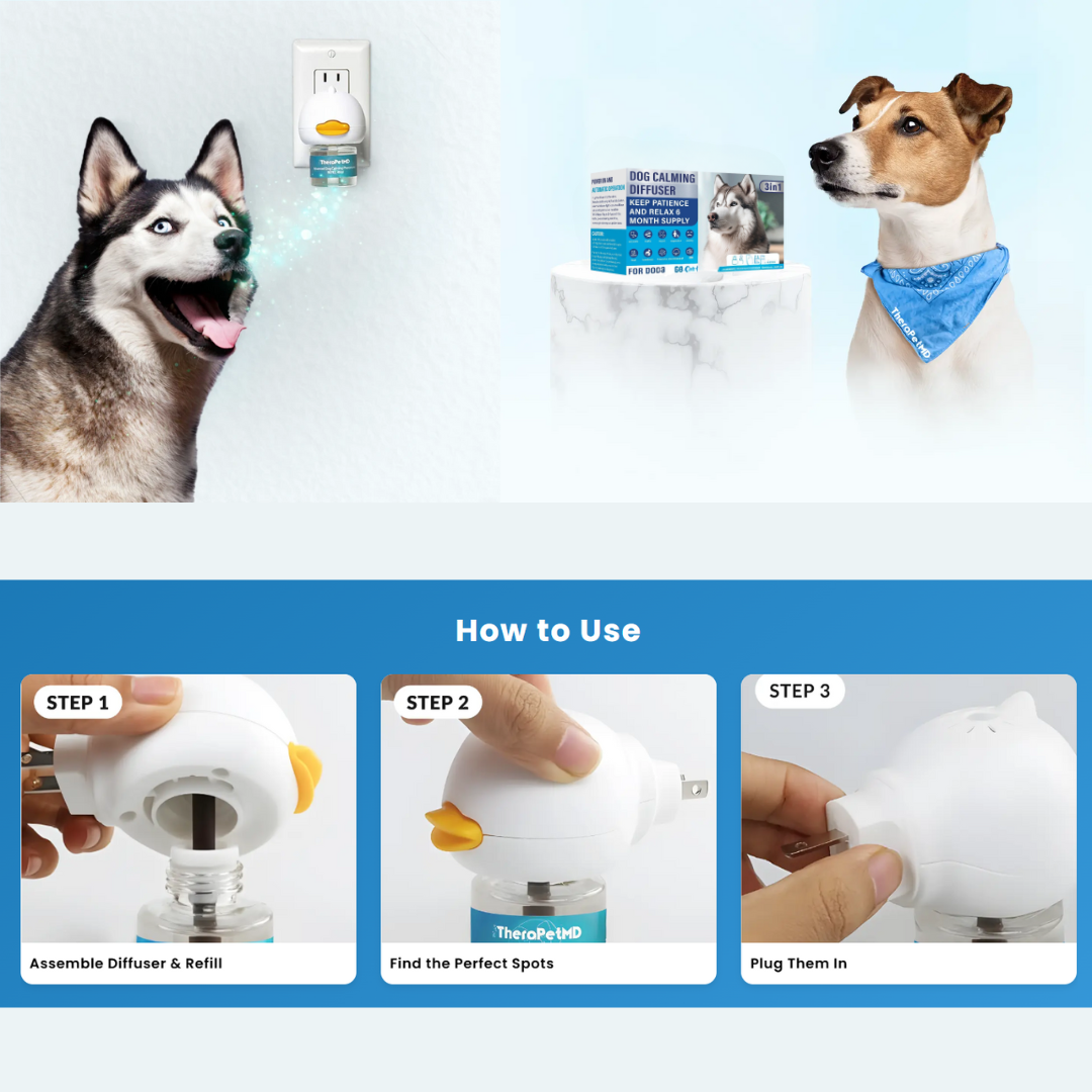 Dogs Calming