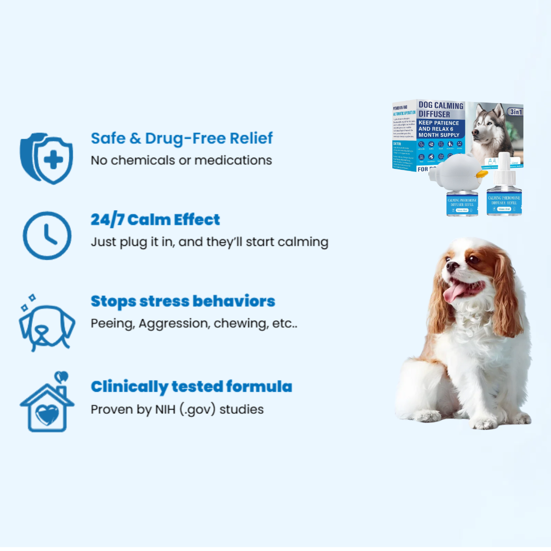 Dogs Calming