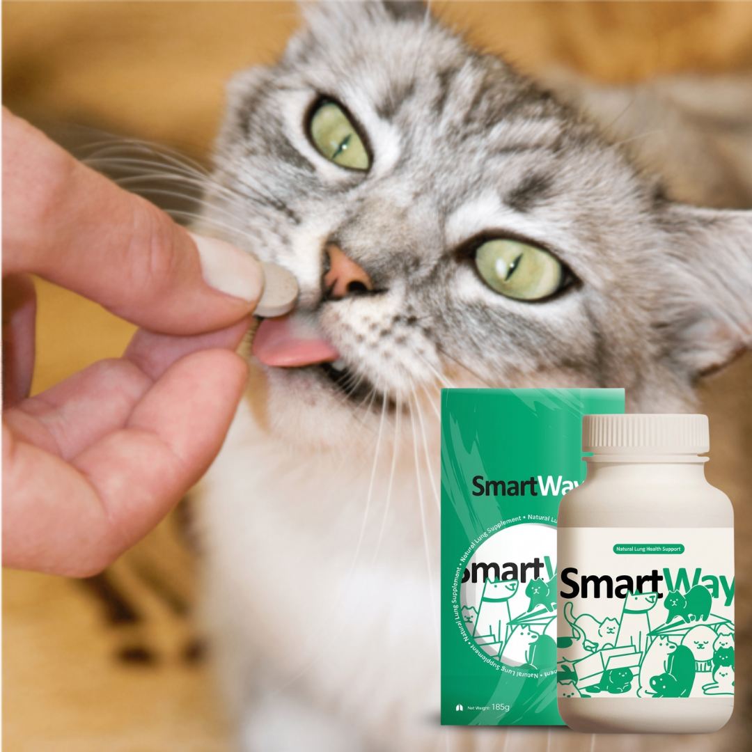 Natural Lung Health Support For Dogs & Cats