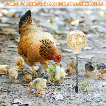 Chicken Peck Toy (2 pcs)