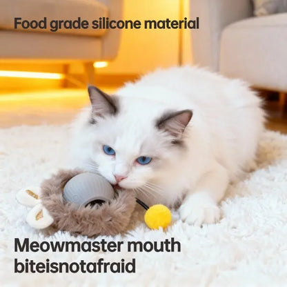 SmartChase Interactive Pet Ball