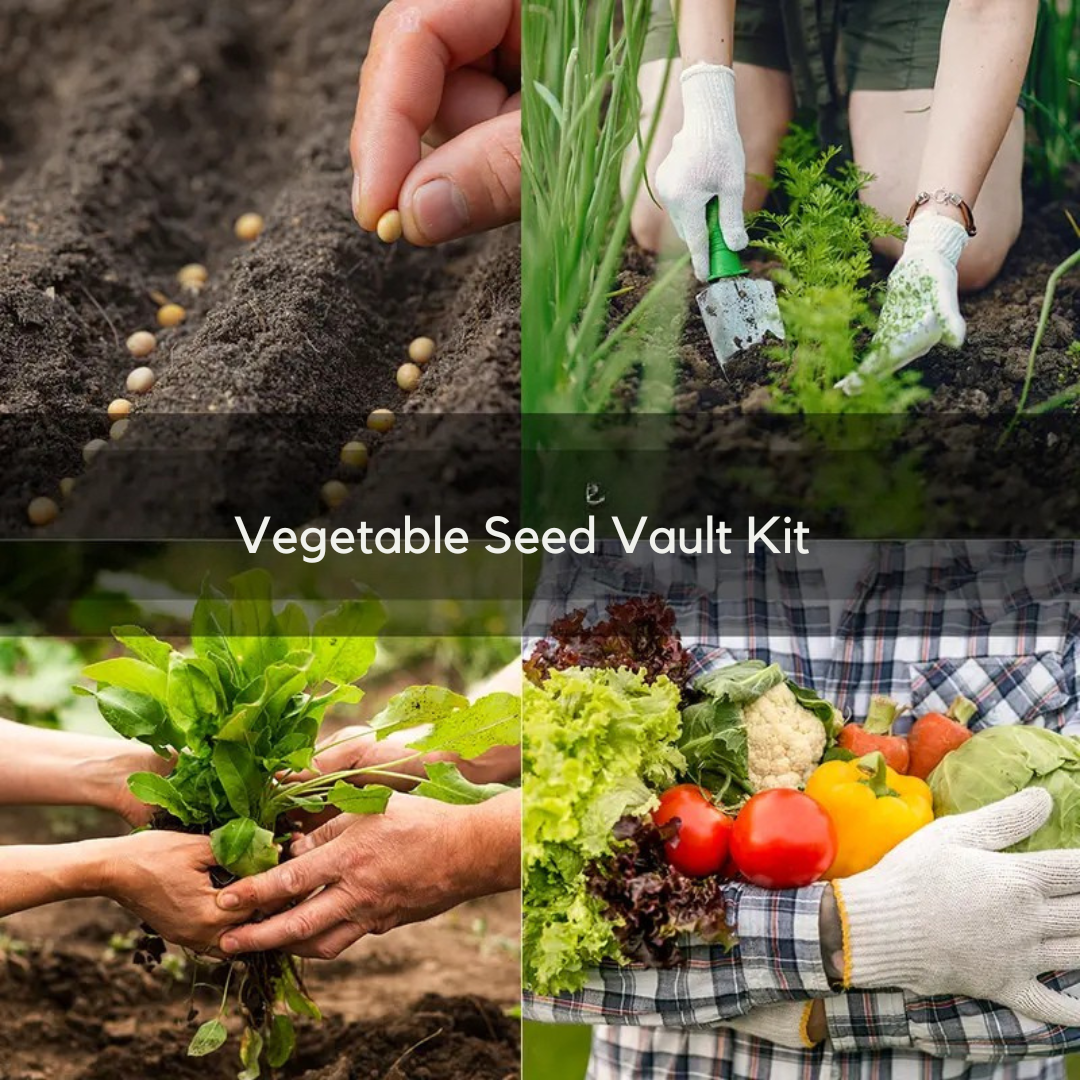 Vegetable Seed Vault Kit
