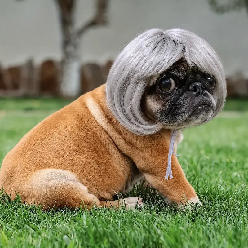 Funny Dog Wig Headband