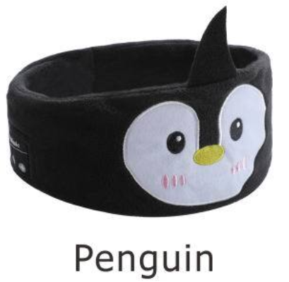 Kids Wireless Headband Headphones