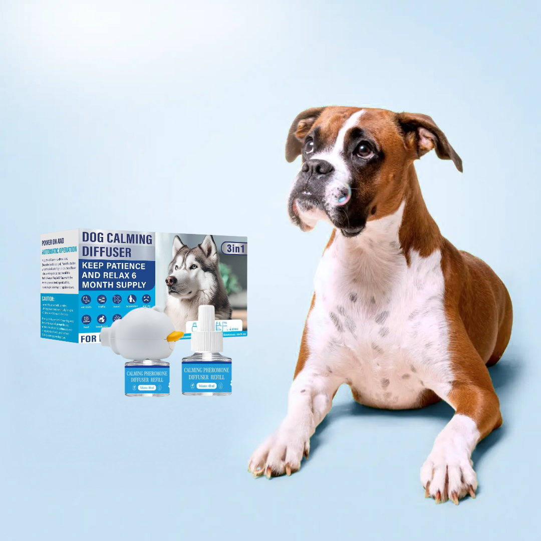 Dogs Calming