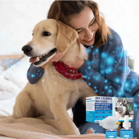 Dogs Calming