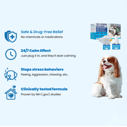 Dogs Calming