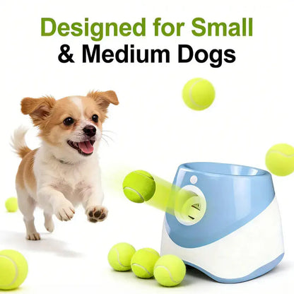 Automatic Dog Ball Launcher