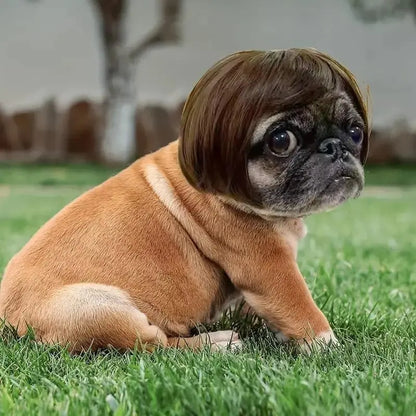 Funny Dog Wig Headband