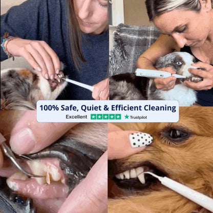 Ultrasonic Dog Dental Cleaner