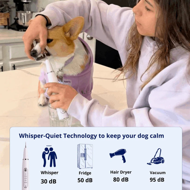 Ultrasonic Dog Dental Cleaner