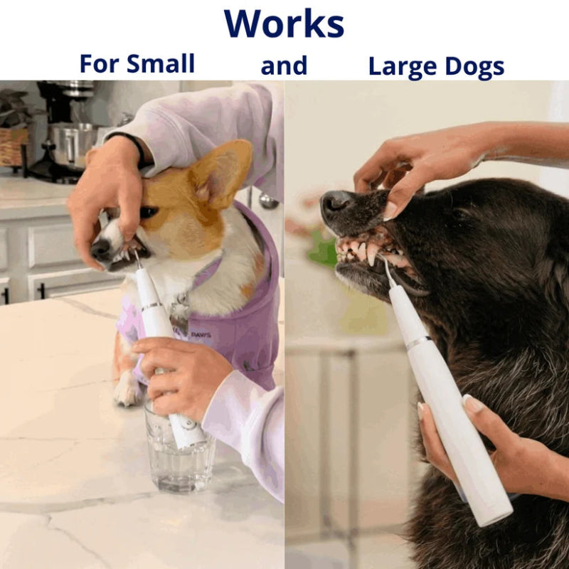 Ultrasonic Dog Dental Cleaner