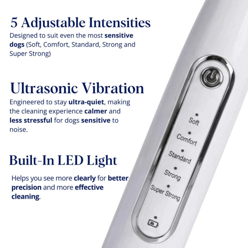 Ultrasonic Dog Dental Cleaner