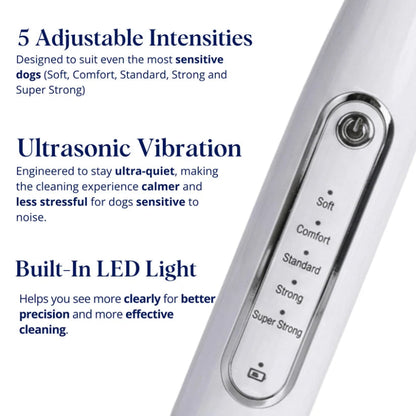 Ultrasonic Dog Dental Cleaner