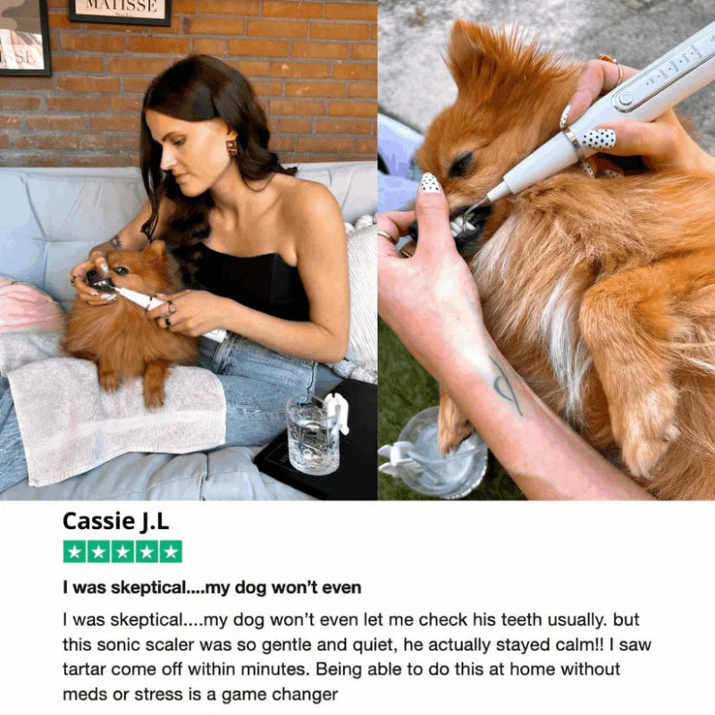 Ultrasonic Dog Dental Cleaner