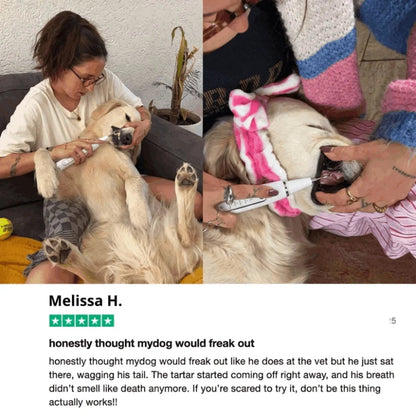 Ultrasonic Dog Dental Cleaner
