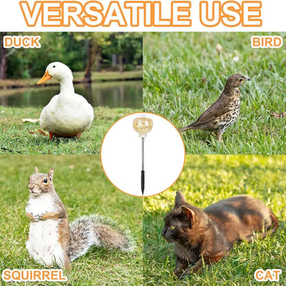 Chicken Peck Toy (2 pcs)