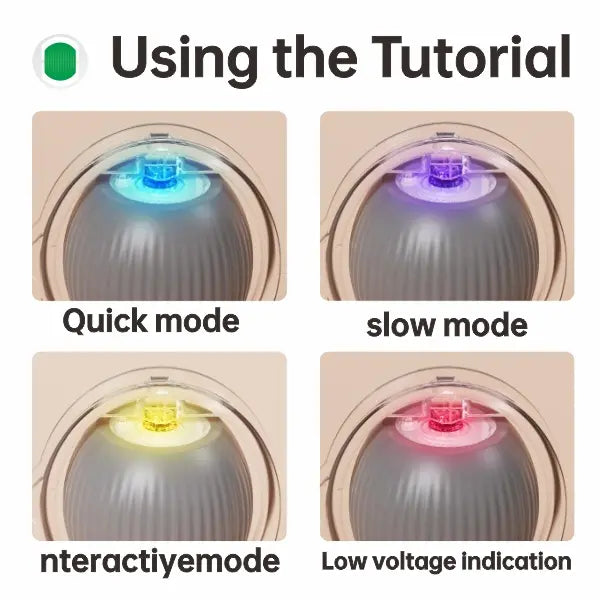 SmartChase Interactive Pet Ball