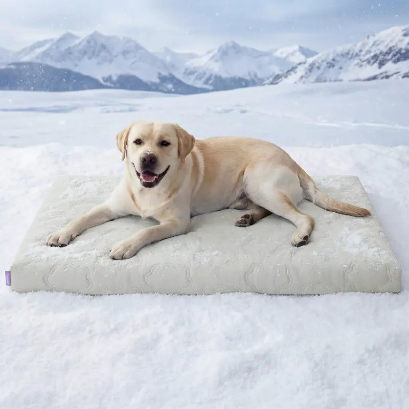 Cooling Pet Mat