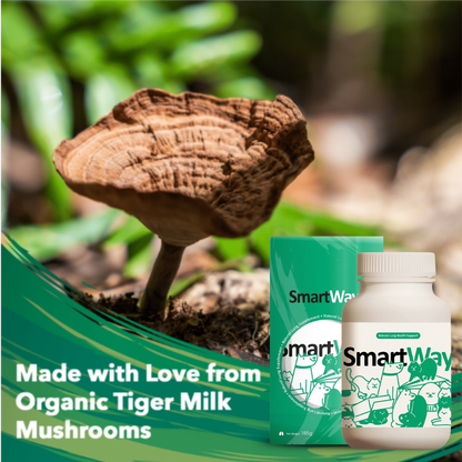 Natural Lung Health Support For Dogs & Cats