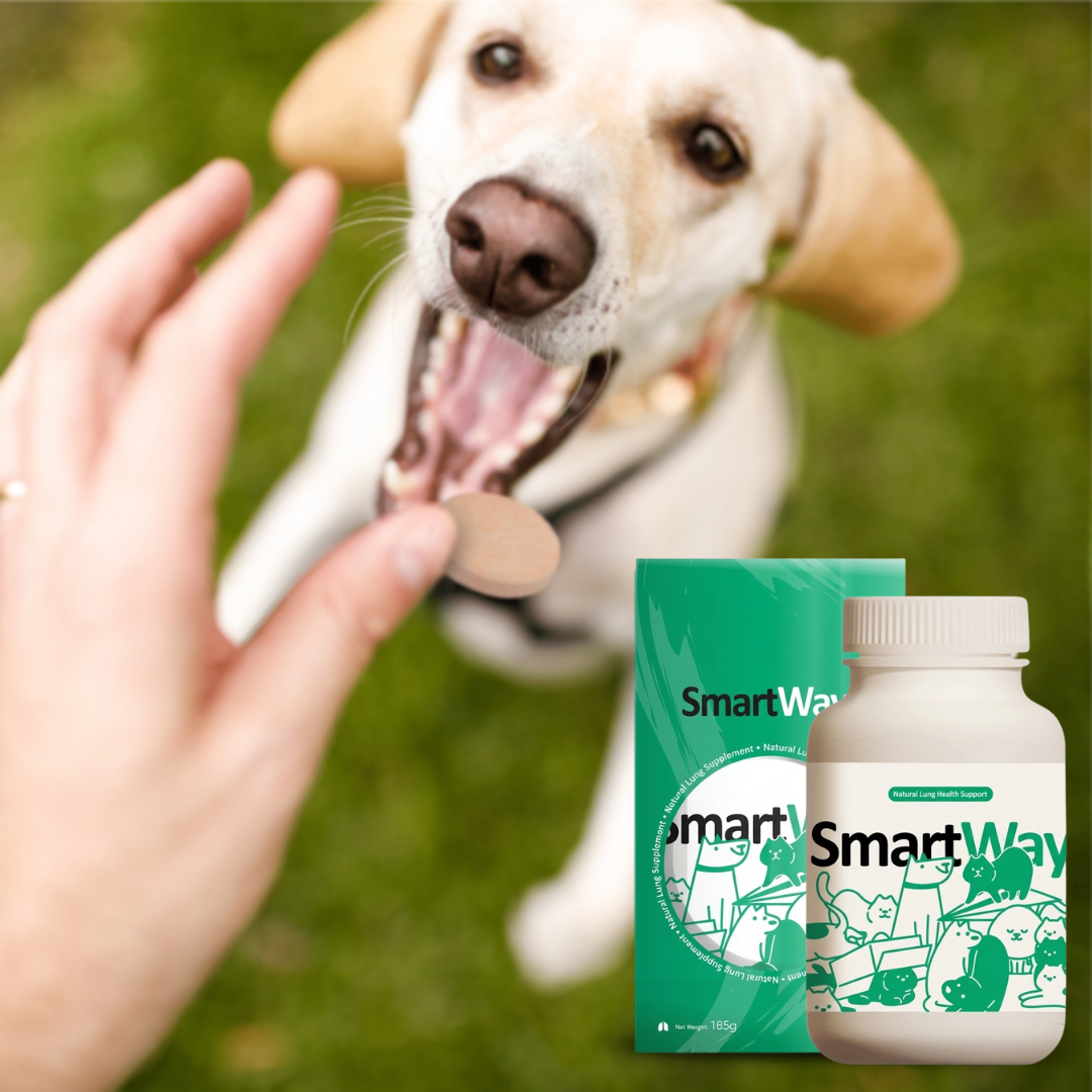 Natural Lung Health Support For Dogs & Cats