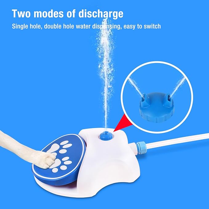 Paw-Activated Dog Water Fountain