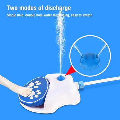 Paw-Activated Dog Water Fountain