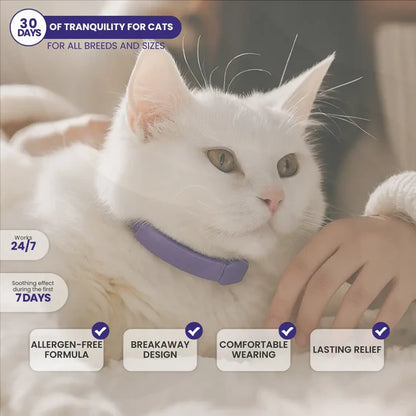 CalmPaws™ Stress Relief Collar