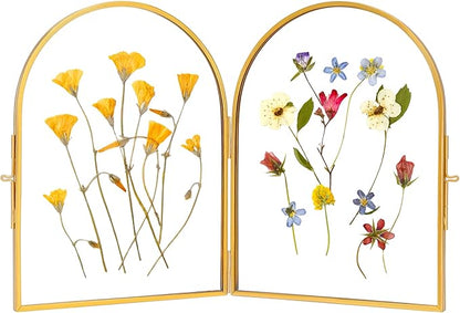 Double Glass Pressed Flower Display Frame