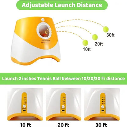 Automatic Dog Ball Launcher