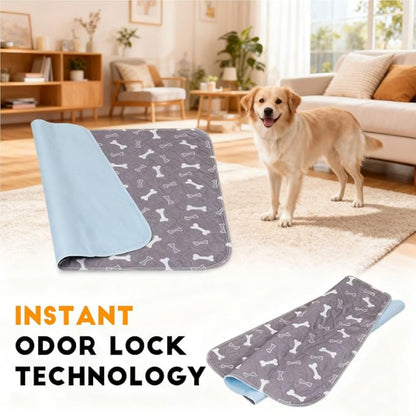 Reusable Puppy Training Pad