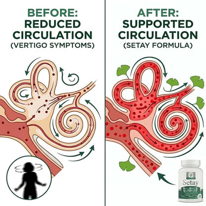 Ginkgo Balance Capsules