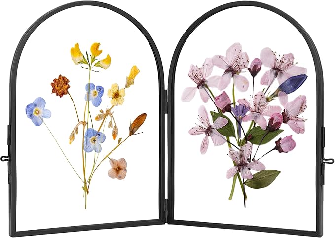Double Glass Pressed Flower Display Frame