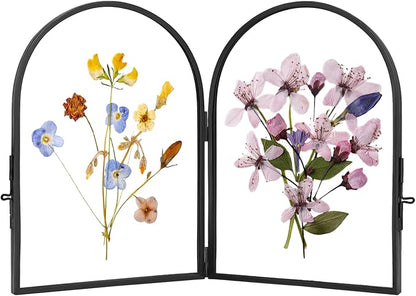 Double Glass Pressed Flower Display Frame