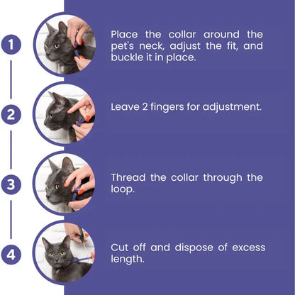 CalmPaws™ Stress Relief Collar