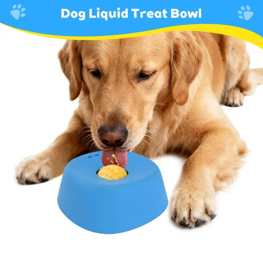 PawSafe Slow Feeder Lick Bowl
