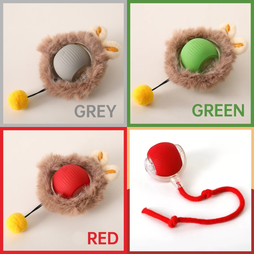 SmartChase Interactive Pet Ball