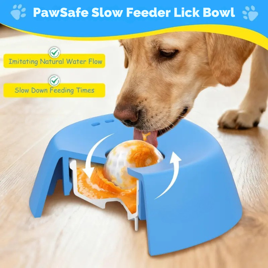 PawSafe Slow Feeder Lick Bowl