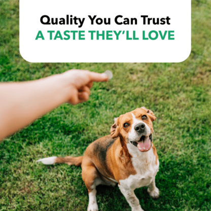 Natural Lung Health Support For Dogs & Cats