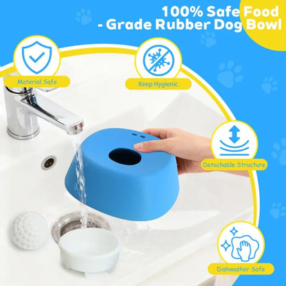 PawSafe Slow Feeder Lick Bowl
