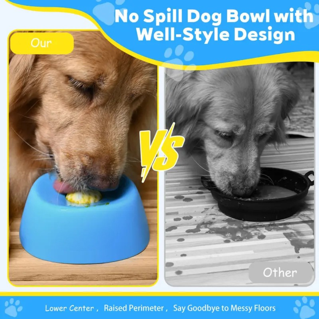 PawSafe Slow Feeder Lick Bowl