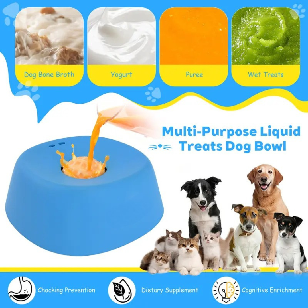 PawSafe Slow Feeder Lick Bowl