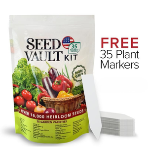 Vegetable Seed Vault Kit