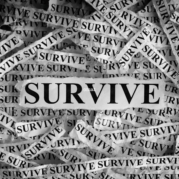 Vegetable Seed Vault Kit