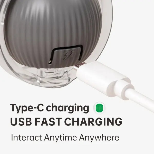 SmartChase Interactive Pet Ball