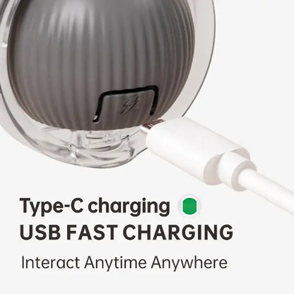 SmartChase Interactive Pet Ball