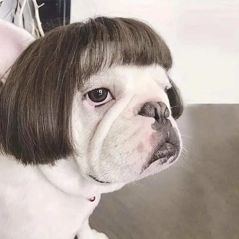 Funny Dog Wig Headband