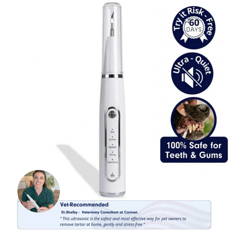 Ultrasonic Dog Dental Cleaner