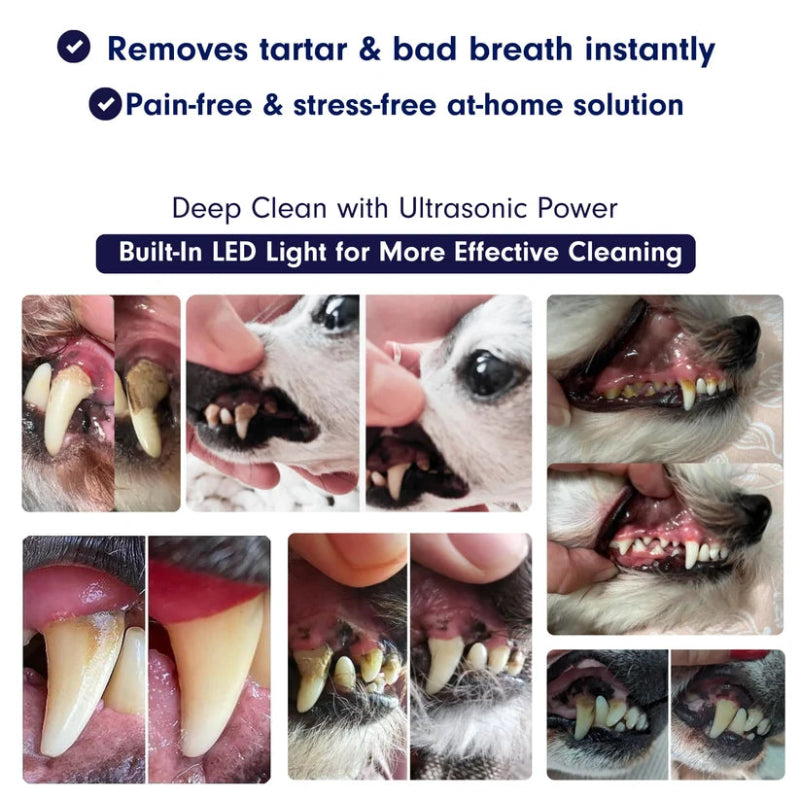 Ultrasonic Dog Dental Cleaner