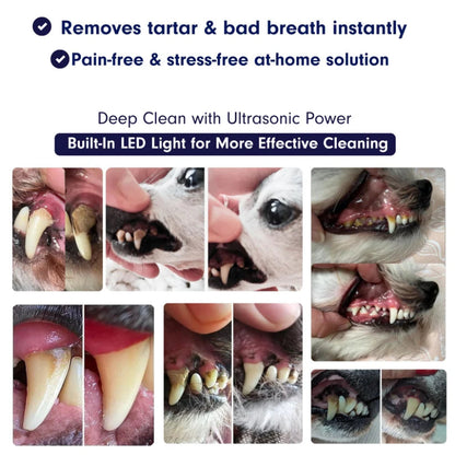 Ultrasonic Dog Dental Cleaner